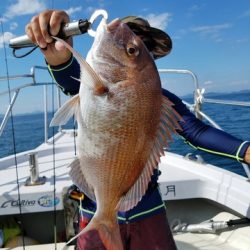 遊漁船 ニライカナイ 釣果