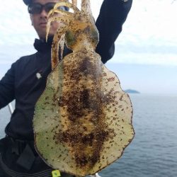 Magic（マジック） 釣果