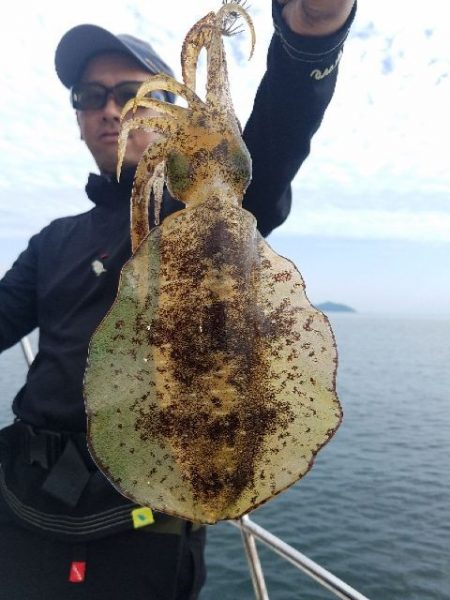 Magic（マジック） 釣果