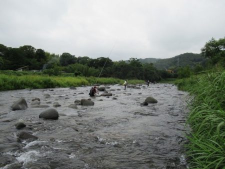 狩野川（狩野川漁業協同組合） 釣果