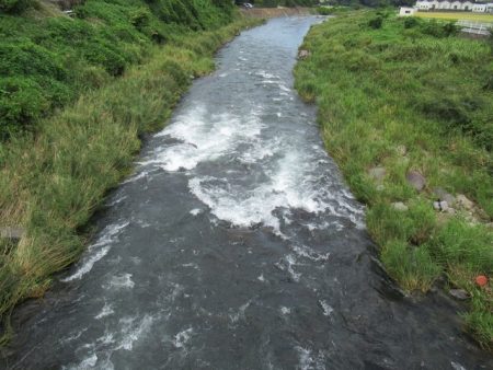 狩野川(狩野川漁業協同組合) 釣果