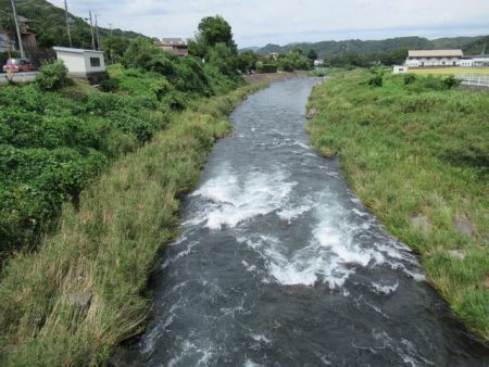 狩野川(狩野川漁業協同組合) 釣果