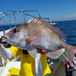 遊漁船　ニライカナイ 釣果
