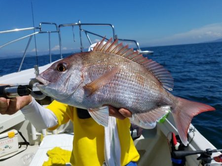 遊漁船　ニライカナイ 釣果