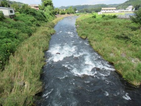 狩野川(狩野川漁業協同組合) 釣果