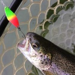 フィッシング サンクチュアリ 釣果