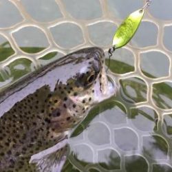 フィッシング サンクチュアリ 釣果