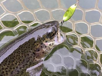 フィッシング サンクチュアリ 釣果