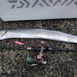 鹿児島県 志布志沖堤防にてタチウオ指4.5本☆【ヒロ氏連載 vol.2】