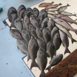 第十八吉栄丸 釣果