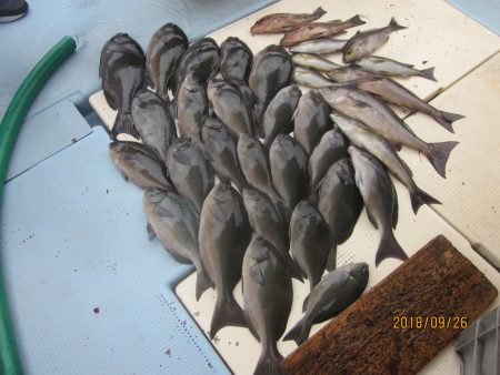 第十八吉栄丸 釣果