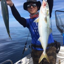 シーモンキー 釣果