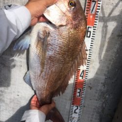 シーモンキー 釣果