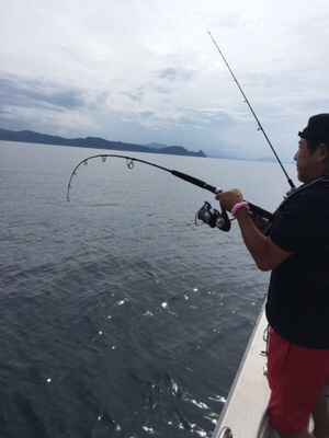 シーモンキー 釣果