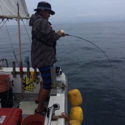 シーモンキー 釣果