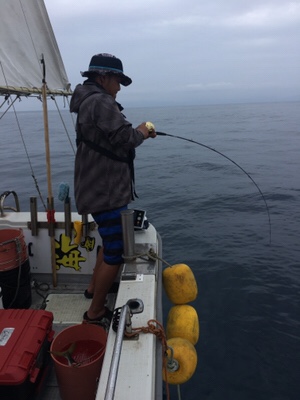 シーモンキー 釣果