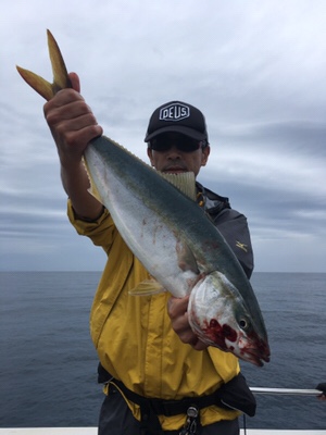 シーモンキー 釣果