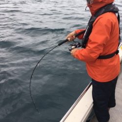 シーモンキー 釣果