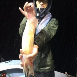 シーモンキー 釣果