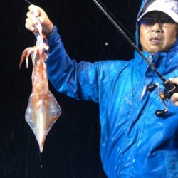 シーモンキー 釣果