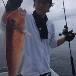 シーモンキー 釣果