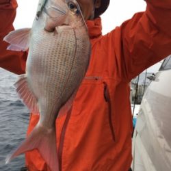 シーモンキー 釣果