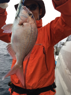 シーモンキー 釣果