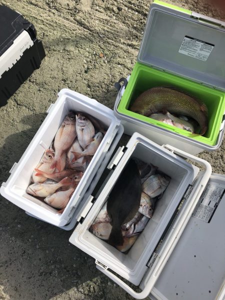 リトルワン 釣果