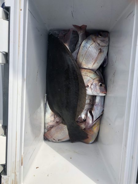 リトルワン 釣果