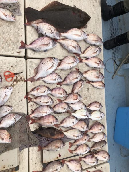 リトルワン 釣果