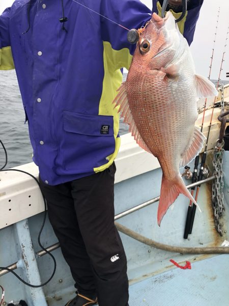 リトルワン 釣果