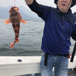 リトルワン 釣果