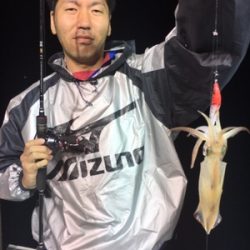 シーモンキー 釣果