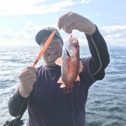 たいし丸 釣果