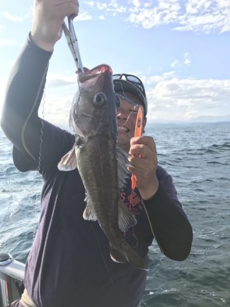 たいし丸 釣果