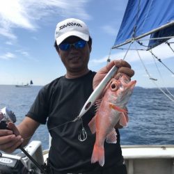 たいし丸 釣果