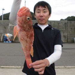 大進丸(新潟) 釣果