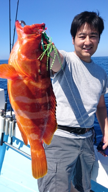 海晴丸 釣果