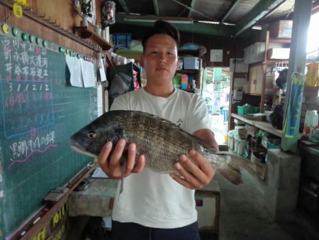 ふじや釣舟店 釣果