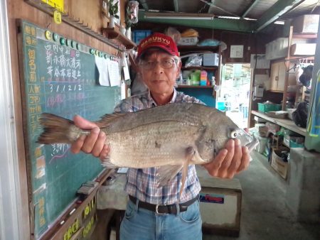 ふじや釣舟店 釣果