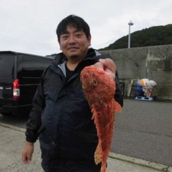 大進丸(新潟) 釣果