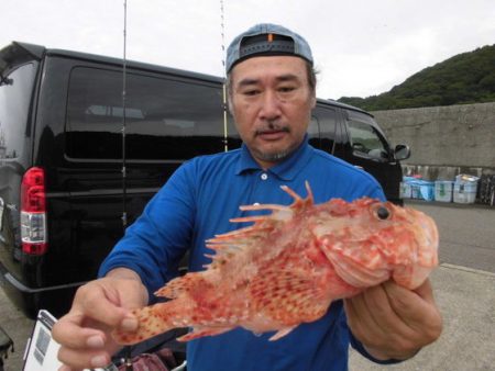 大進丸(新潟) 釣果