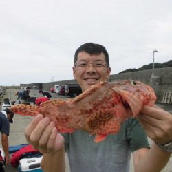 大進丸(新潟) 釣果