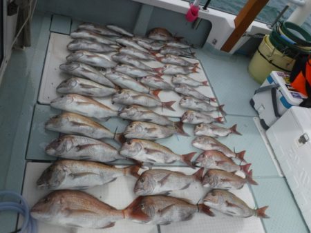 遊漁船 幸友丸 釣果