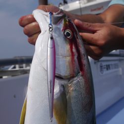 松鶴丸 釣果
