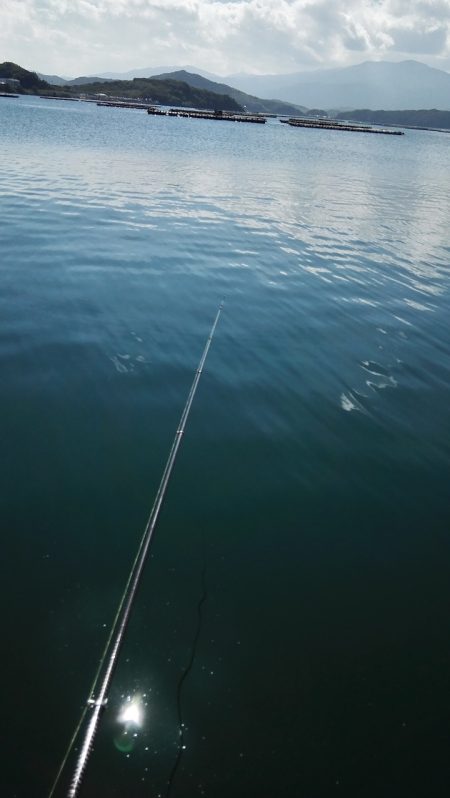 秋の行楽に！魚釣り入門にはサビキ釣りがオススメ【ジェミニ氏連載 vol.2】