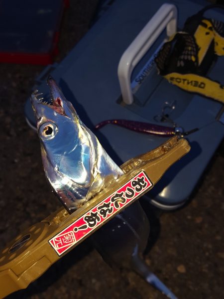 ゆっくりと動かすだけでタチウオがヒット　がまかつLUXXE（ラグゼ）ワインドマスターモニターレポート