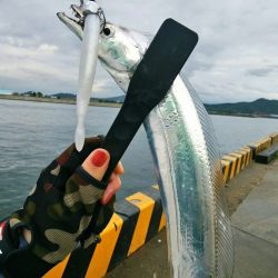 今シーズン太刀魚するならスローワインドがベスト！ がまかつLUXXE（ラグゼ）ワインドマスターモニターレポート