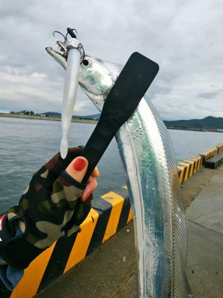 今シーズン太刀魚するならスローワインドがベスト！ がまかつLUXXE（ラグゼ）ワインドマスターモニターレポート