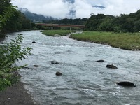 秩父フライフィールド 釣果